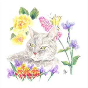 10 In Memory of Moki rev