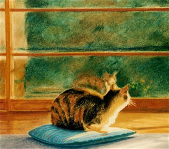 8 Pastel Cat