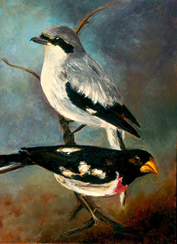 "Shrike and Rose Grosbeak"