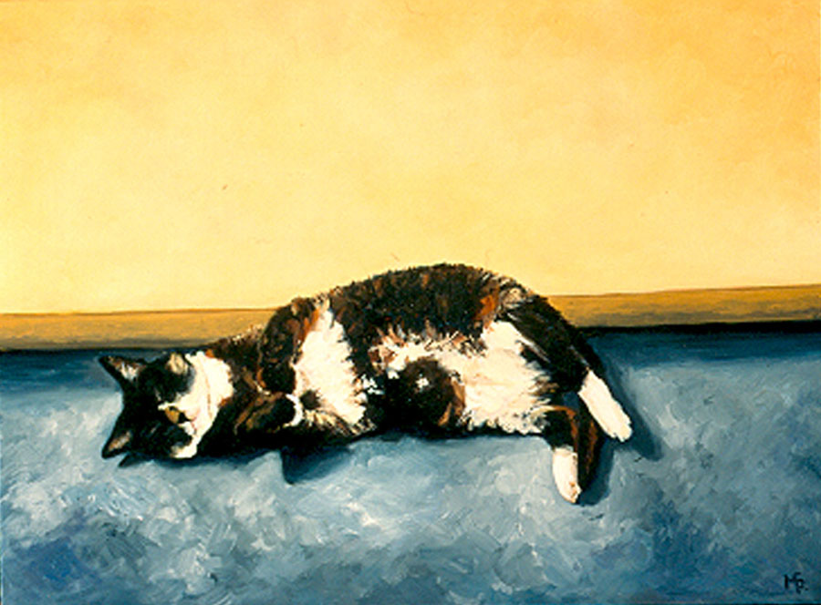 "Cat Aldo"