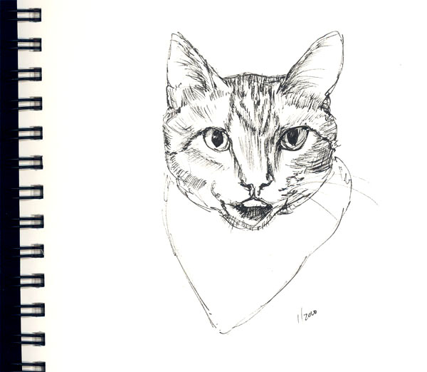 "Cat with Scarf"