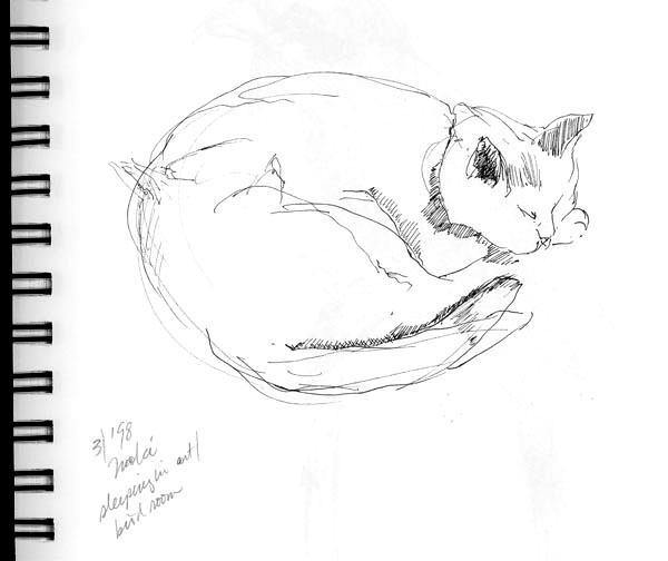 "Sleeping Cat"