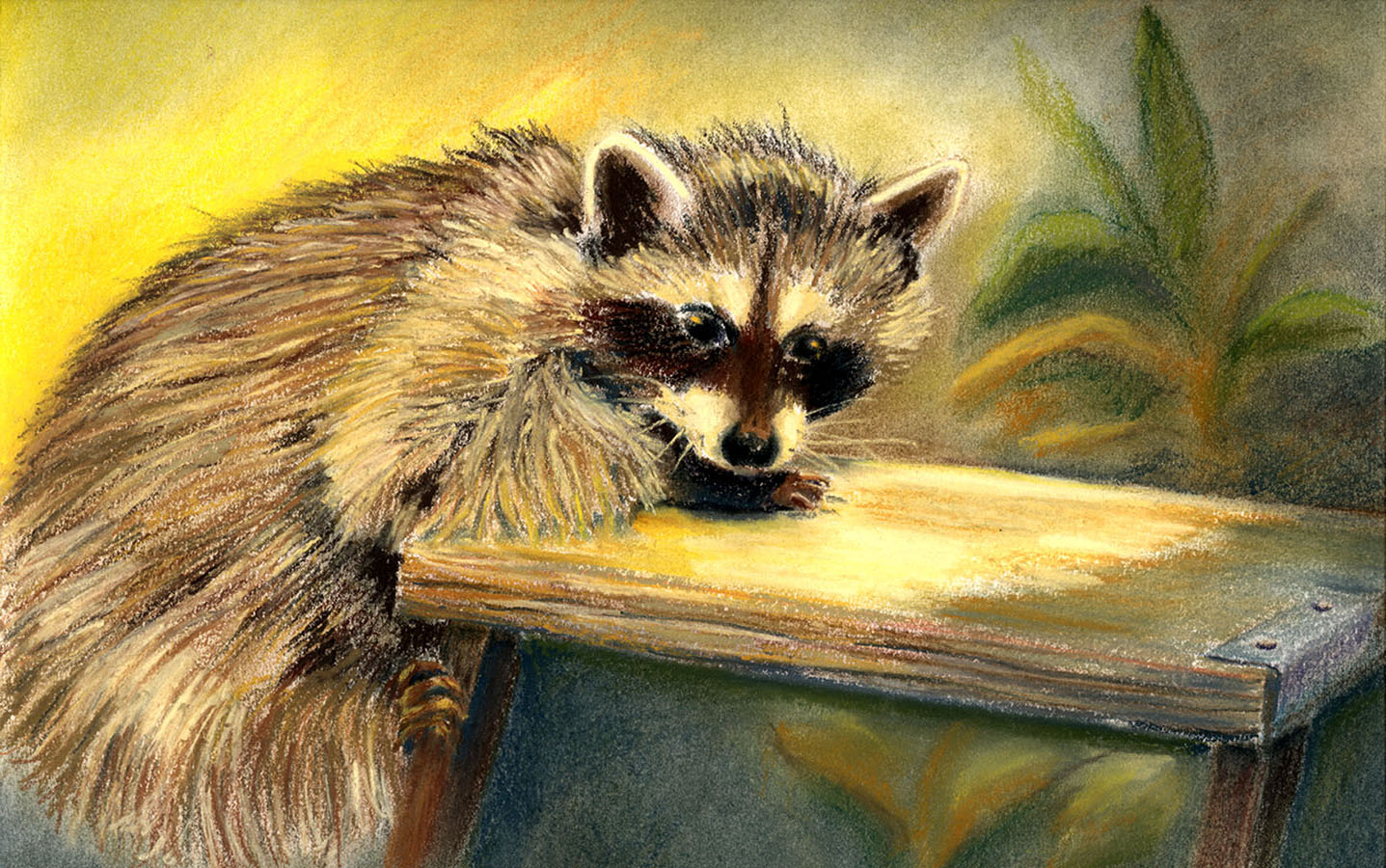 Racoon Ladder"