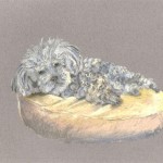 Memory of Matilda pastel 2